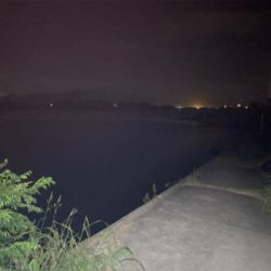 ワームでボーズのがれ！