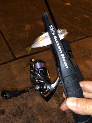 豆アジングのつもりが