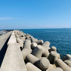 須磨浦漁港穴釣り！