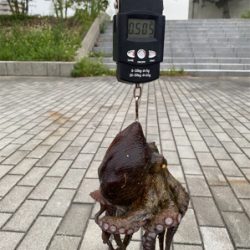 ラストオクトパッシング