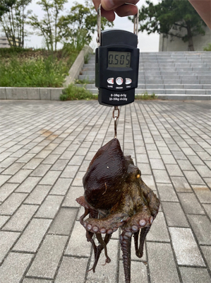 ラストオクトパッシング