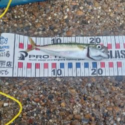 サバゲーでした