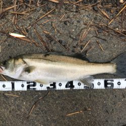 ランカー&つ抜け達成！！！