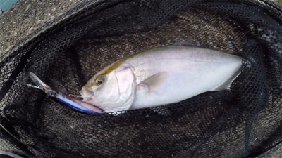 シオ！2021ライトゲーム第28戦