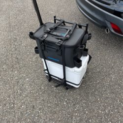 まだギリギリいるか