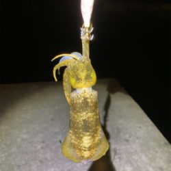 マナーを大切に!