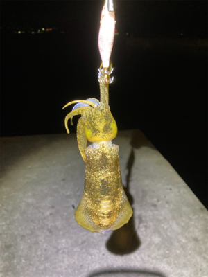 マナーを大切に!