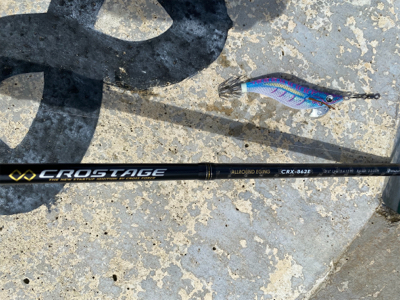 雨上がりの朝マズメ