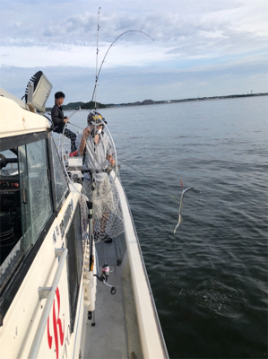 まだまだタチウオ