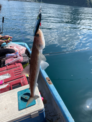ボート　ジギング&タイラバ &エギング