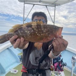 落とし込み釣り