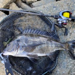 パターン掴むのが毎回遅い