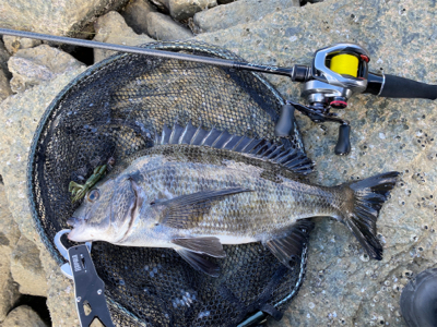 パターン掴むのが毎回遅い