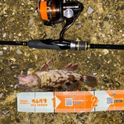 秋の気配がぼちぼち