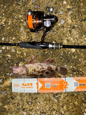 秋の気配がぼちぼち