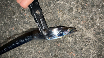 タチウオナイト