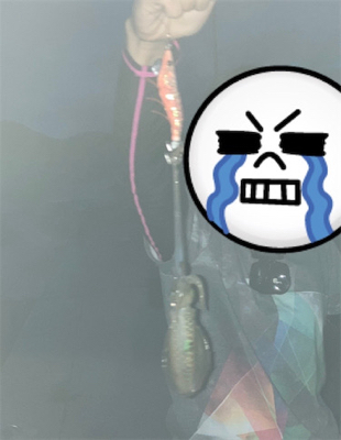 今年初エギング