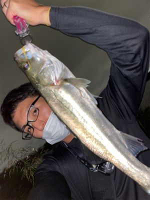 荒川　シーバス