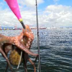 雨上がりでタコ
