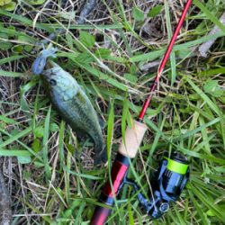 テクニカルエディションで