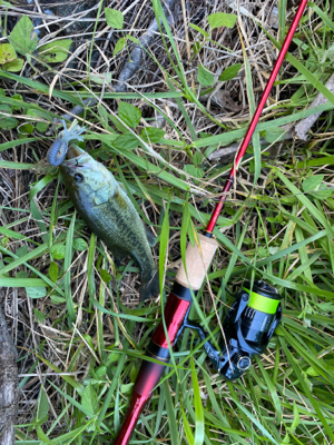 テクニカルエディションで