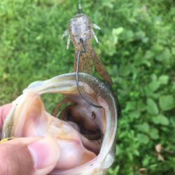 流れ＋シェード＋カバー