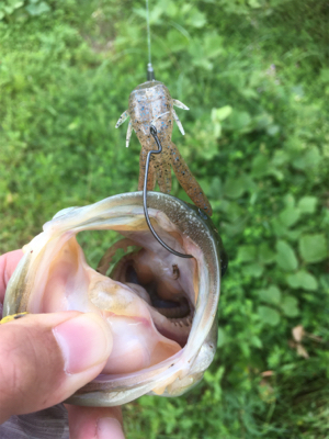 流れ＋シェード＋カバー