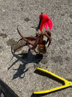 ⭐︎サイズダウン