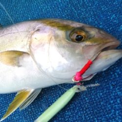 １年ぶりのガッツリジギング♪