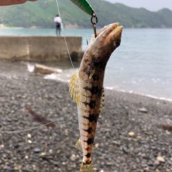 涼しくなりましたね〜