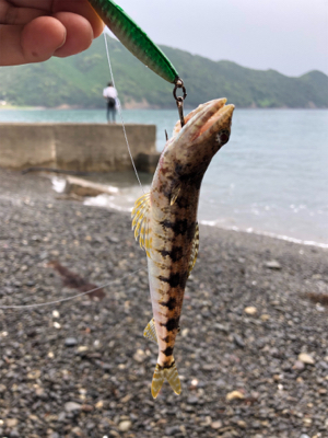 涼しくなりましたね〜