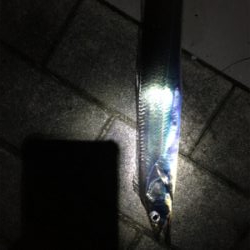 小さいがよく釣れる