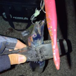 2021ライトゲーム第29戦