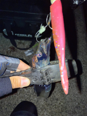 2021ライトゲーム第29戦