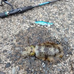 沖漬けが食べたくて