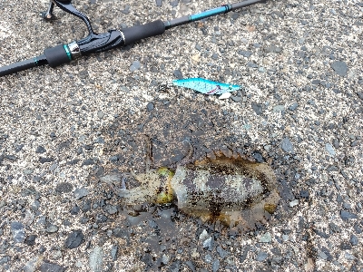 沖漬けが食べたくて