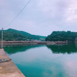 本日の袋漁港の釣果！