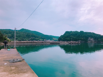 本日の袋漁港の釣果！