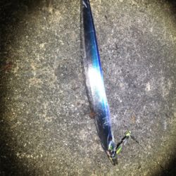 タチウオぼちぼち