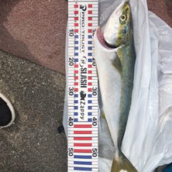 人だらけの神戸空港･･･により付近にてw