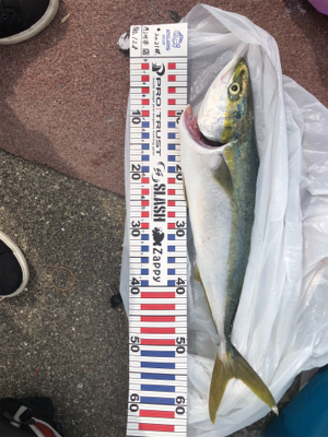 人だらけの神戸空港･･･により付近にてw