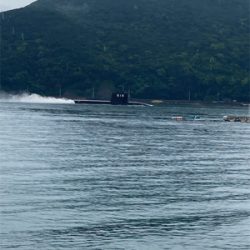 今年も新子はソーシャルディスタンス