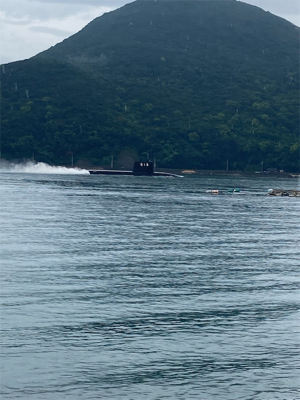 今年も新子はソーシャルディスタンス