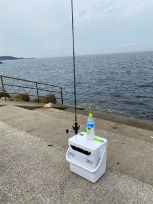 順調に成長してるｩ