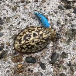 大荒れのなかなんとかヒット