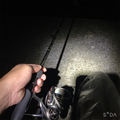 ライトタチウオ