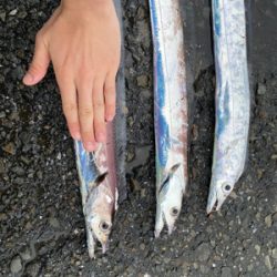 台風が来る前に！