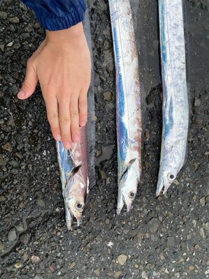 台風が来る前に！