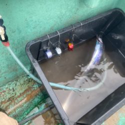 テンヤタチウオ