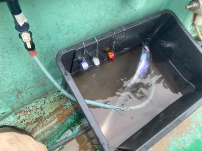 テンヤタチウオ